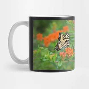 Yellow Swallowtail Butterfly Mug